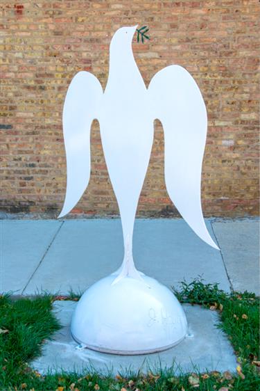 “White Dove” by JAMES HAVENS