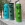 Bluengreen Bro's (2025)